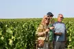 Excursion Vin Indispensable avec Dégustation & Visites de Château au départ de Bordeaux - Second Medium