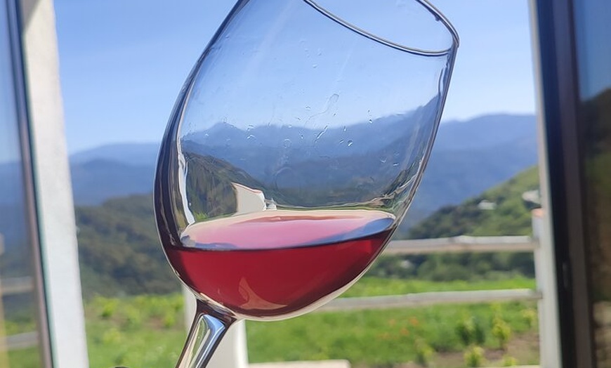 Image 5: Ruta Puentes y Murallas de Ronda + Visita a Bodega y cata 4 vinos