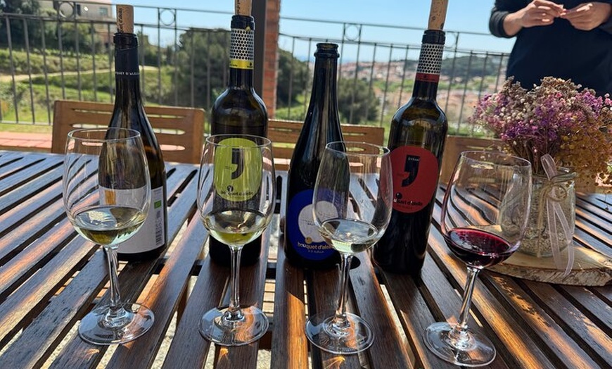 Image 21: Gaudí Unveiled & Premium Wine Escape - Tour Privado