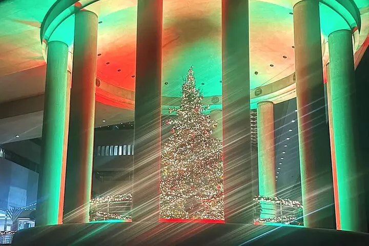 Holiday Lights & Nights City Tour with 10+ Stops, Entry Tickets