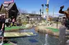 Branson Bigfoot Mini Golf
