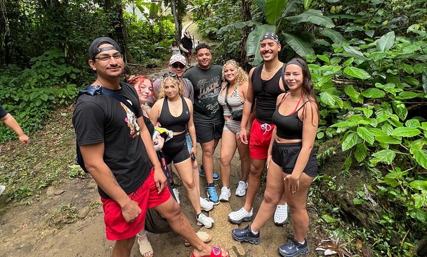 Image 3: Island Escape Rainforest to Castles Tour