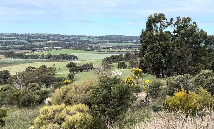 Image 2: Experience SA Clare Valley Private Wine Tour