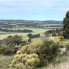 Image 2: Experience SA Clare Valley Private Wine Tour