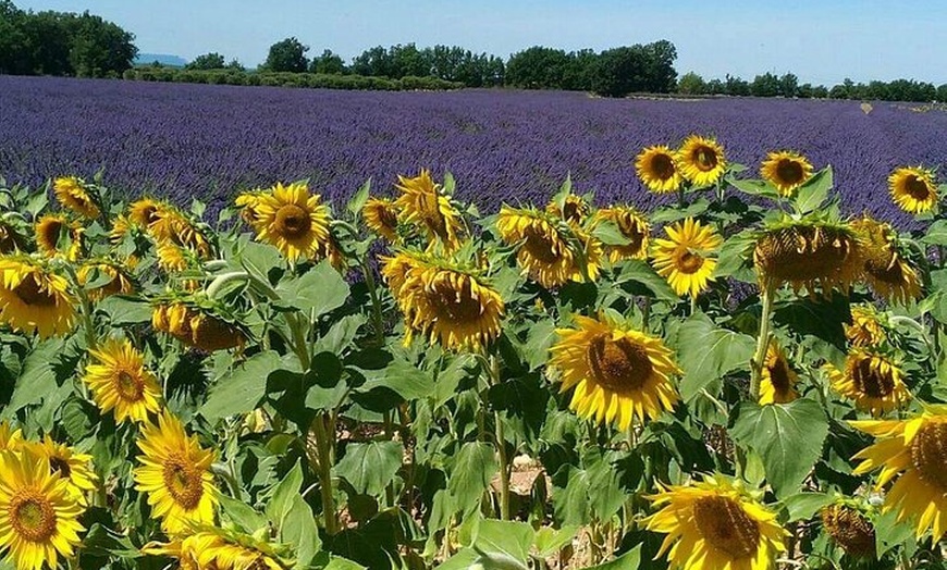 Image 22: Visite privée du Luberon Gordes Roussillon Bonnieux Lourmarin