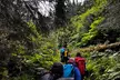 Moose Pass Hiking and Kayak Guided Tour Experience - Second Medium