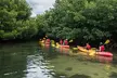 Bioluminescent Bay Kayak Tour in Fajardo Puerto Rico - Second Medium