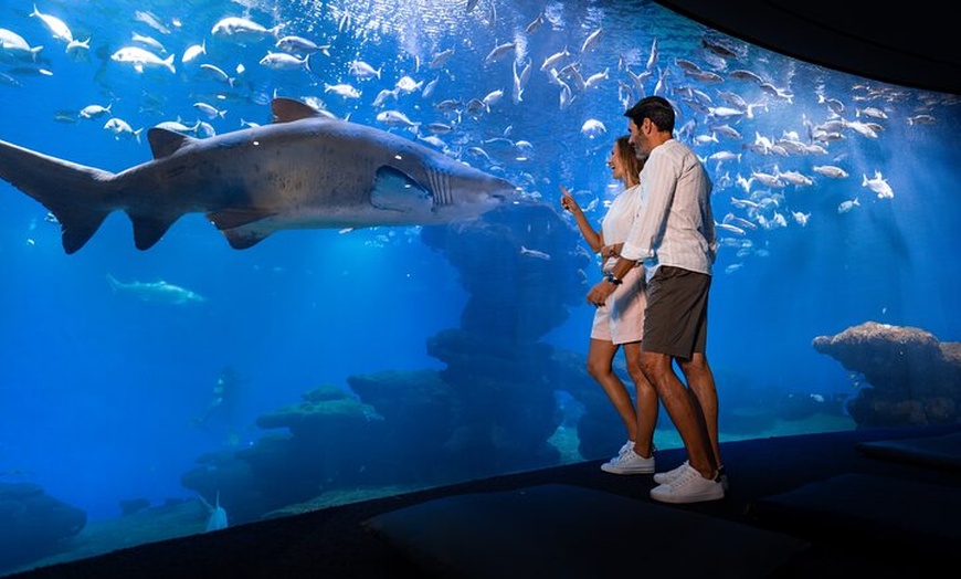Image 14: Acuario de Palma con autobús de vuelta desde Port Alcudia