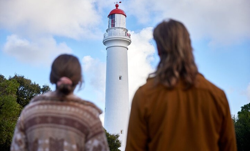 Image 2: Great Ocean Road and Twelve Apostles Private Tour