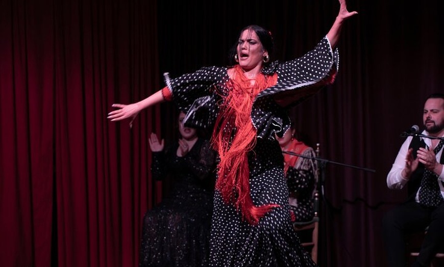 Image 11: Espectáculo de flamenco en el Palacio Dalmases de Barcelona