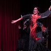 Image 11: Espectáculo de flamenco en el Palacio Dalmases de Barcelona