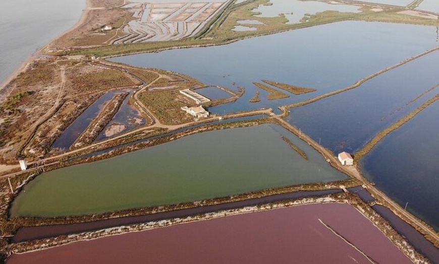 Image 12: Isla Tabarca y Santa Pola Salinas desde Alicante o Benidorm