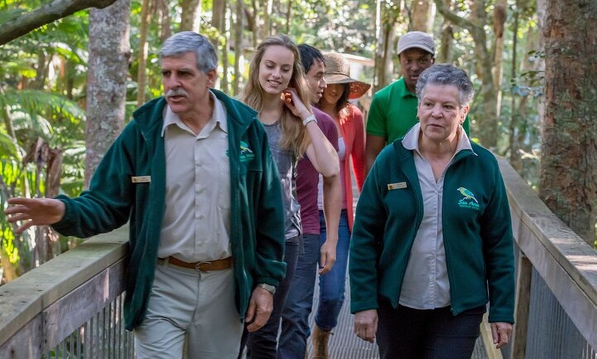 Image 3: Sea Acres Rainforest Boardwalk Tour