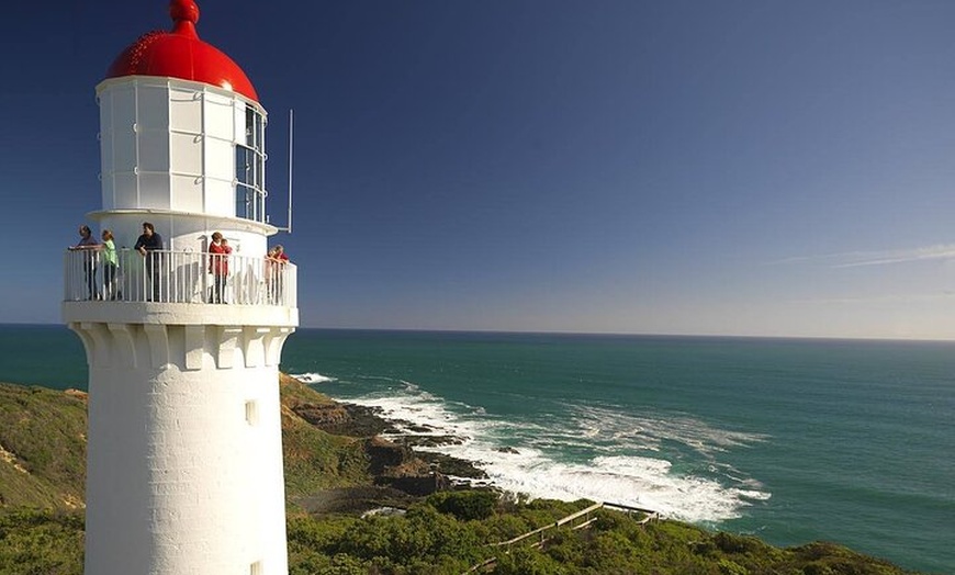 Image 5: Melbourne Mornington Peninsula Private Tour include Tickets