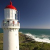 Image 5: Melbourne Mornington Peninsula Private Tour include Tickets