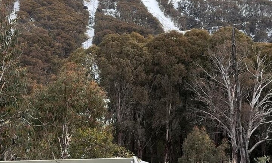 Image 6: Private Small Group Snow and Ski Tour to Mt Buller