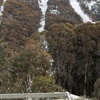 Image 6: Private Small Group Snow and Ski Tour to Mt Buller