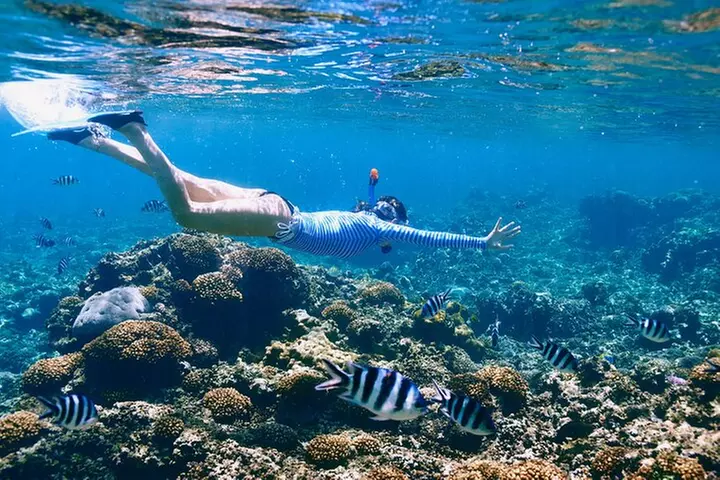Reef Snorkeling with ATV, Zipline, Cenote that includes lunch and transportation - Primary Image