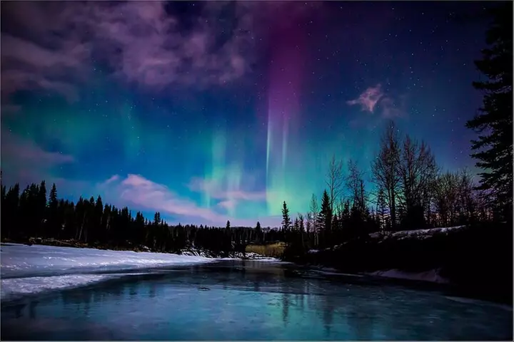 Northern Lights & Chena Hot Springs Tour