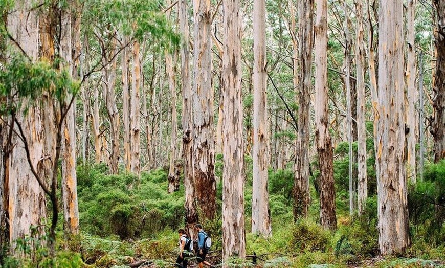 Image 2: Margaret River Getaway 2 Day Tour