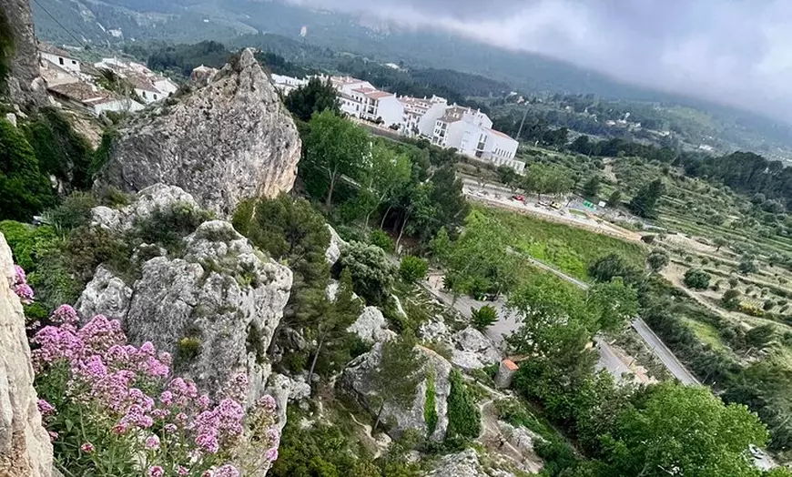 Image 13: Tu Tour Privado en Van Por La Costa Blanca