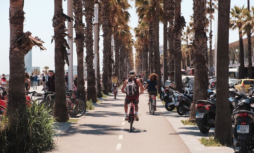 Image 9: 2.5h Tour en E-Bike : Parques, Jardines, Vistas a la playa y panorá...