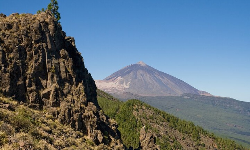 Image 5: Desde Costa Adeje o Santa Cruz: Tour Contrastes de Tenerife