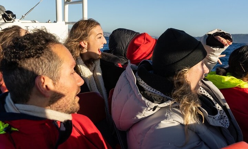 Image 21: Humpback Whale Encounter Tour from Newcastle