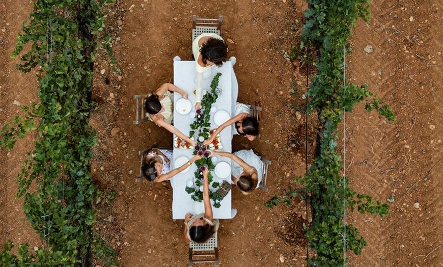 Image 4: Ibiza : Cata privada de vinos y aceites de oliva y Tapas y transporte