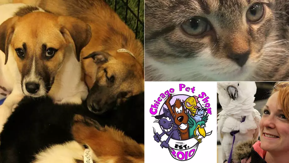 Chicago Pet Show at Kane County Fair Grounds - Primary Image
