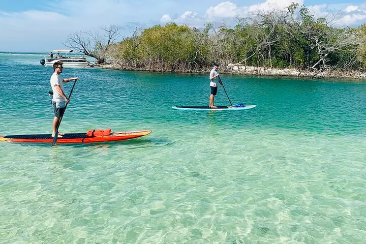 Dolphin and Manatee Adventure Tour of Fort Myers