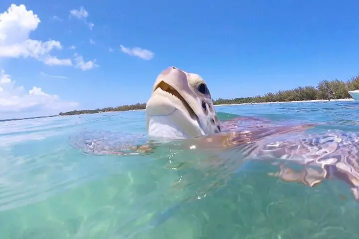 Florida Key Private Islands Exclusive Day Trip from Miami w/activ