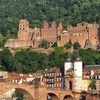 Image 9: Private Ganztagestour Heidelberg und Rothenburg ab Frankfurt