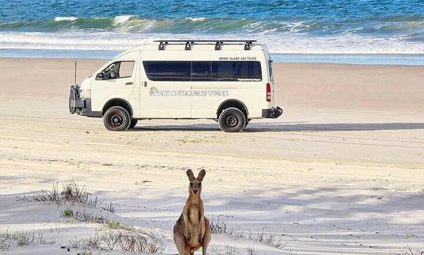 Image 7: Bribie Island 4WD Kayak and WWII Bunker Tour