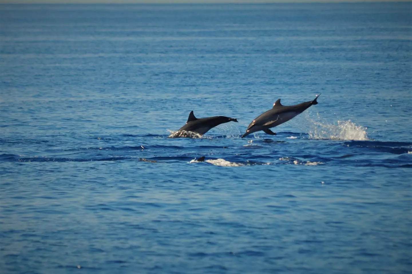 ✈ FILIPPINE | Cebu - Alla scoperta delle Filippine 4*, 7 notti - Tour