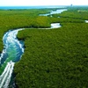 Image 2: Cancun Speed Boat, Parasailing and Dolphin Beach with Transport