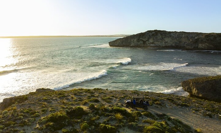 Image 7: Ultimate Buggy Tour in Kangaroo Island