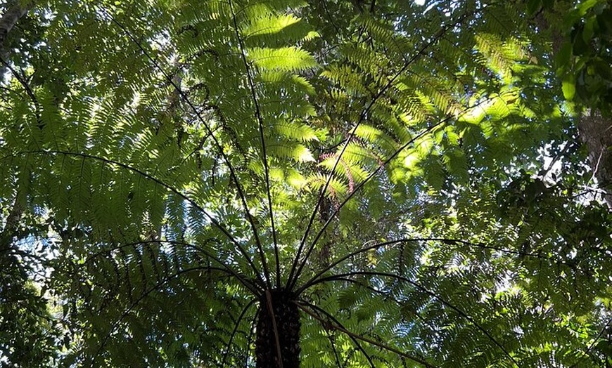 Image 22: Blue Mountains Private Tour & Hidden Gems, Pick up & Drop off