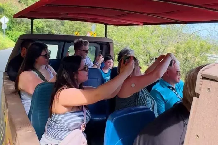 Hollywood and Celebrity Homes Bus Tour