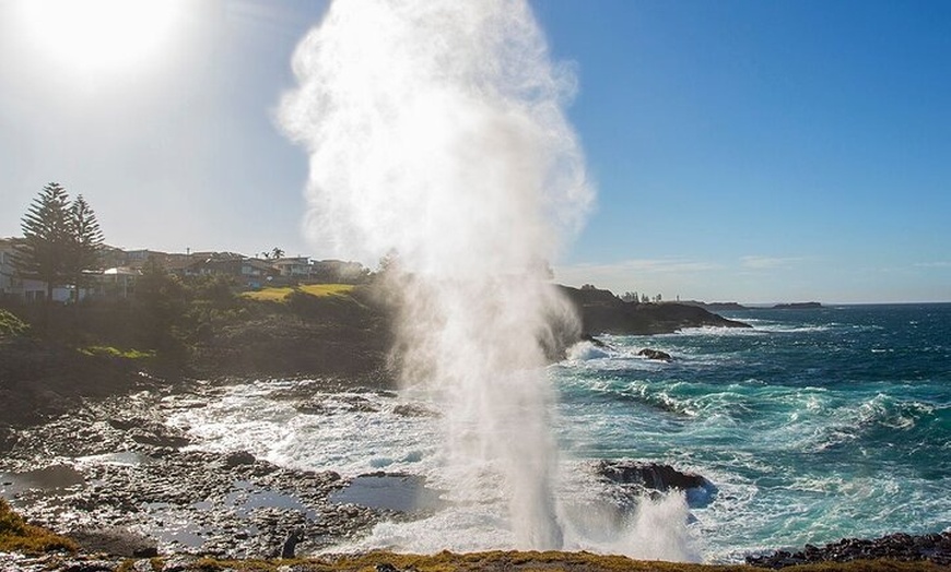 Image 7: Jervis Bay Full Day Tour Dolphin Cruise and Kiama Blowhole
