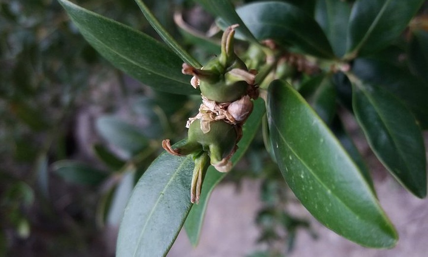 Image 27: Senderismo por el Torrente de Pareis
