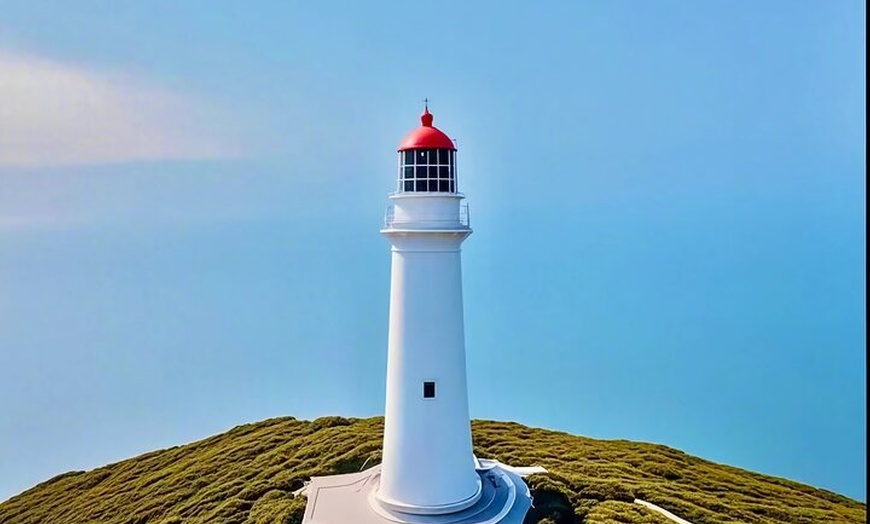 Image 7: Melbourne: Great Ocean Road Luxury Coach Reverse Tour