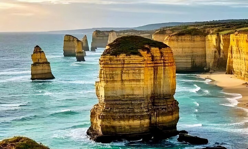 Image 2: Melbourne Great Ocean Road Mercedes Mini Bus & Luxury Coach Tour