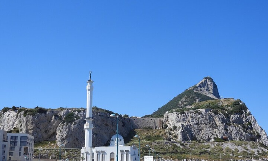 Image 6: Excursión de un día a Gibraltar desde la costa de Cádiz con tour po...