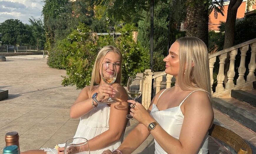 Image 4: Alicante : Catas de Vinos & Tapas Privadas en 2 Bodegas Boutique