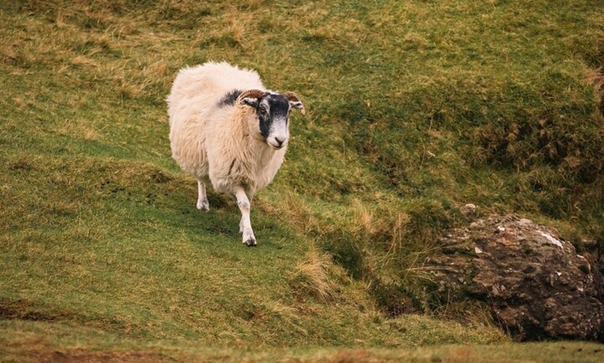 Image 22: Private 3 Day Tour to Skye Loch Ness and Glencoe from Glasgow