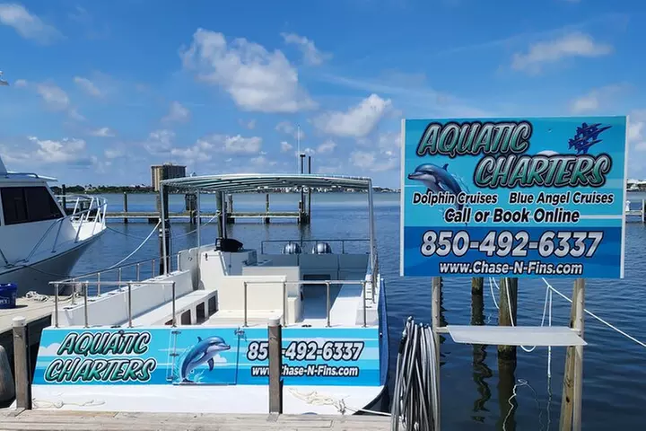 Daily Dolphin Cruise + Sightseeing Tour on Pensacola Beach