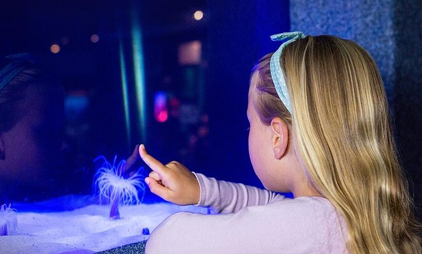 Image 6: Acuario de Palma con autobús de vuelta desde Port Alcudia