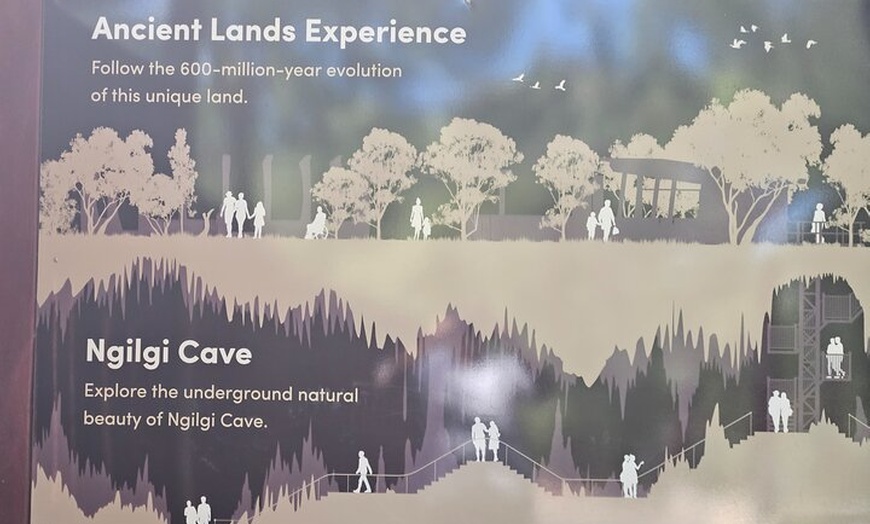 Image 5: 2 Day Tour Busselton Jetty, Ngilgi Cave to Valley of the Giants