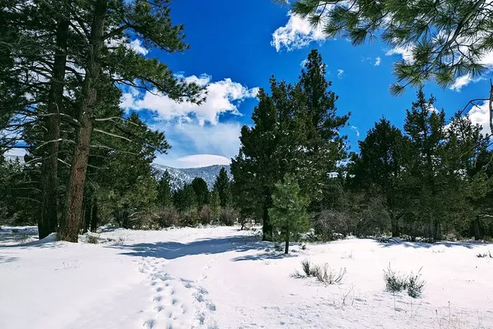 Snowshoe Tour Big Bear Lake with Hot Chocolate